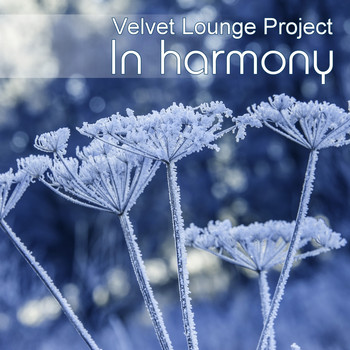 Velvet Lounge Project - In Harmony
