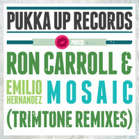 Ron Carroll, Emilio Hernandez - Mosaic (Trimtone Remixes)