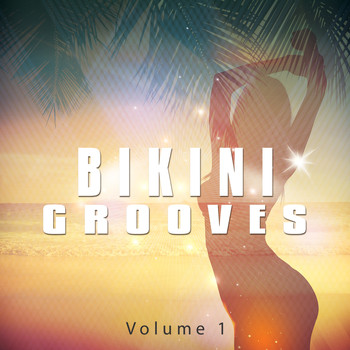 Various Artists - Bikini Grooves, Vol. 1 (Sexy Beach-& Chill House Tunes)