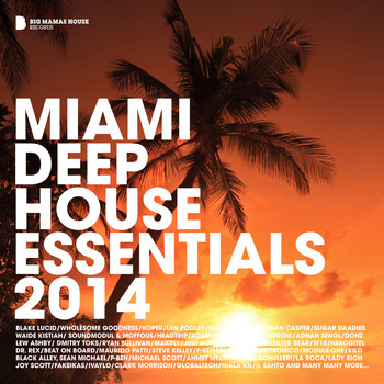 Various Artists - Miami Deep House Essentials 2014