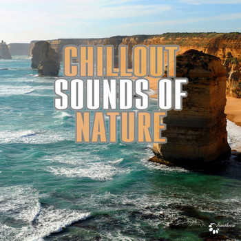 Various Artists - Chillout Sounds of Nature