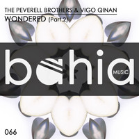 The Peverell Brothers & Vigo Qinan - Wondered, Pt. 2