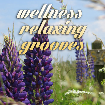 Various Artists - Wellness Relaxing Grooves