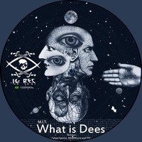 M.I.T. - What Is Dees