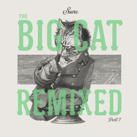 Coyu - The Big Cat Remixed, Pt. 1