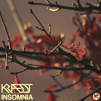Kraedt - Insomnia