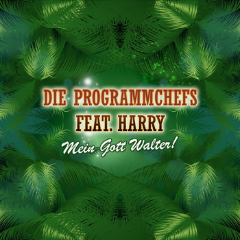 Die Programmchefs feat. Harry - Mein Gott Walter