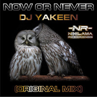 DJ Yakeen - Now or Never