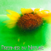 Danny Hay - Dreamer By Nature