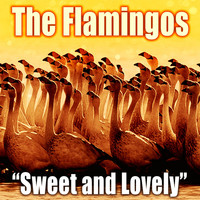 The Flamingos - Sweet and Lovely