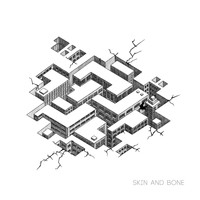 Sparrow - Skin and Bone