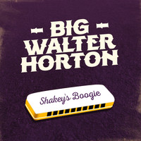 Big Walter Horton - Shakey's Boogie