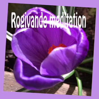 Various Artists - Rogivande meditation