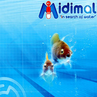 Midimal - In Search Of Water