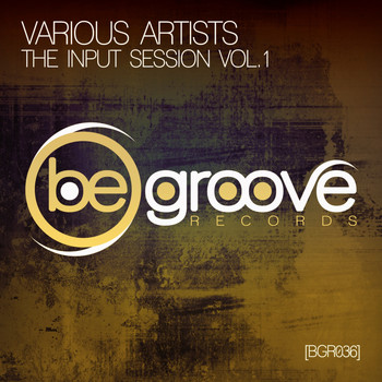 Various Artists - The Input Session, Vol. 1
