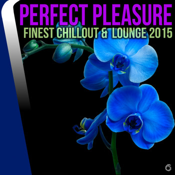 Various Artists - Perfect Pleasure Finest Chillout & Lounge 2015