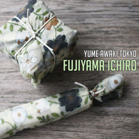 Fujiyama Ichiro - Yume Awaki Tokyo