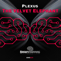 Plexus - The Velvet Elephant
