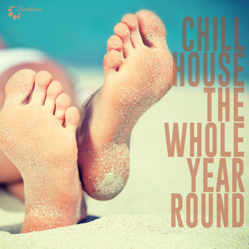 Various Artists - Chillhouse the Whole Year Round