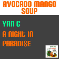 Yan C - A Night in Paradise