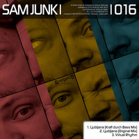 Sam Junk - Ljubljana