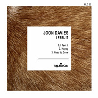 Joon Davies - I Feel It