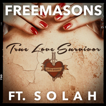 Freemasons - True Love Survivor