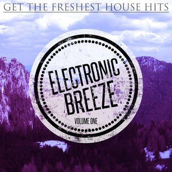 Various Artists - Electronic Breeze, Vol. 1 (Get the Freshest House Hits [Explicit])