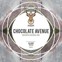 Chocolate Avenue - Whats Going On