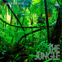 Jorge Ballesteros - The Jungle