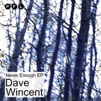 Dave Wincent - Never Enough