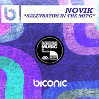 Novik - Haleybatiri in the Mitg