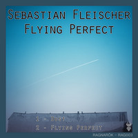 Sebastian Fleischer - Flying Perfect