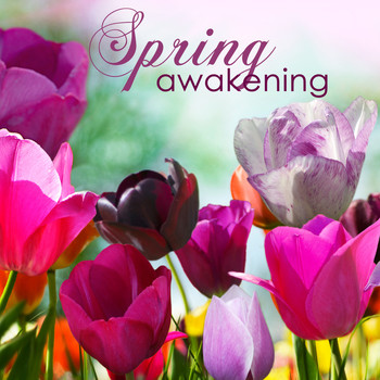 Various Artists - Spring Awakening – Relaxing Healing Music for Winter into Spring Equinox
