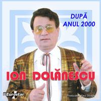 Ion Dolanescu - Dupa anul 2000