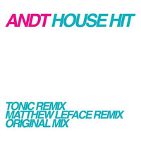Andt - House Hit (Remixes)