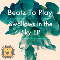 Beatz To Play - Swallows in the Sky