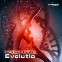 Convergent Evolution - Evolutio
