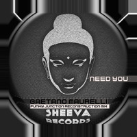 Gaetano Maurelli - Need You (Funky Junction Reconstruction Mix)