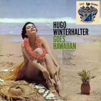 Hugo Winterhalter and His Orchestra - Hugo Winterhalter Goes Hawaiian