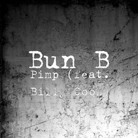 Bun B - Pimp (feat. Billy Cook)