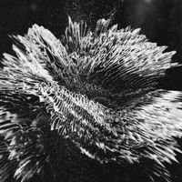 NotioN - Cannon Seeker