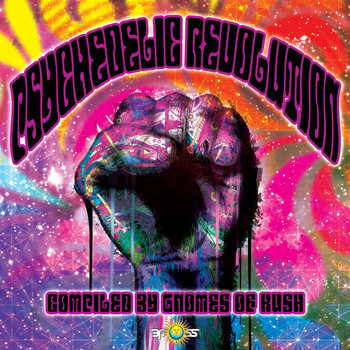 Various Artists - Psychedelic Revolution (Compiled By Gnomes of Kush)