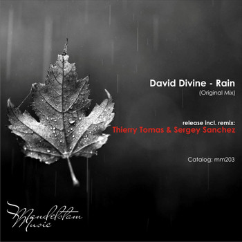 David Divine - Rain