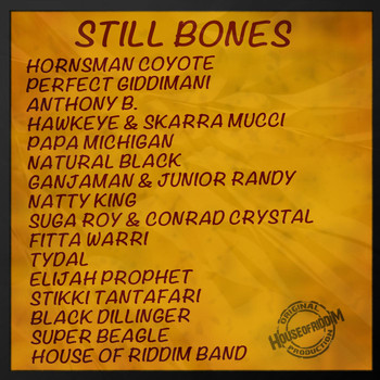 Various Artists - Still Bones Selection
