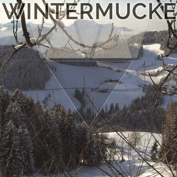 Various Artists - Wintermucke, Vol. 1 (Compilation of Finest Chill out & Ambient Music)
