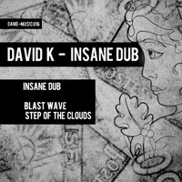 David K - Insane Dub
