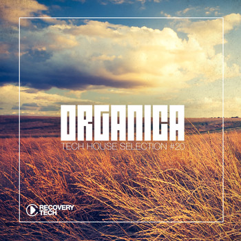 Various Artists - Organica #20