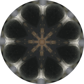 Various Artists - In Dushe Sampler 005