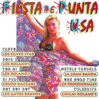 Various Artists - Fiesta de Punta USA